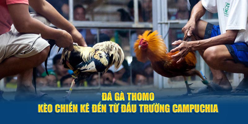 Áp dụng một số chiến thuật để tăng cơ hội thắng khi tham gia 